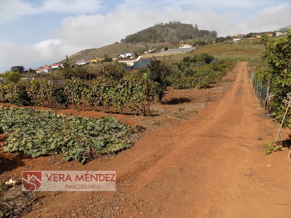 Finca rústica en venda en Tacoronte