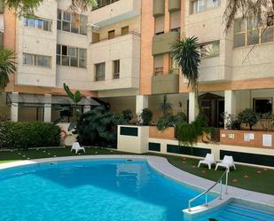 Swimming pool of Apartment to rent in  Sevilla Capital  with Air Conditioner, Parquet flooring and Terrace