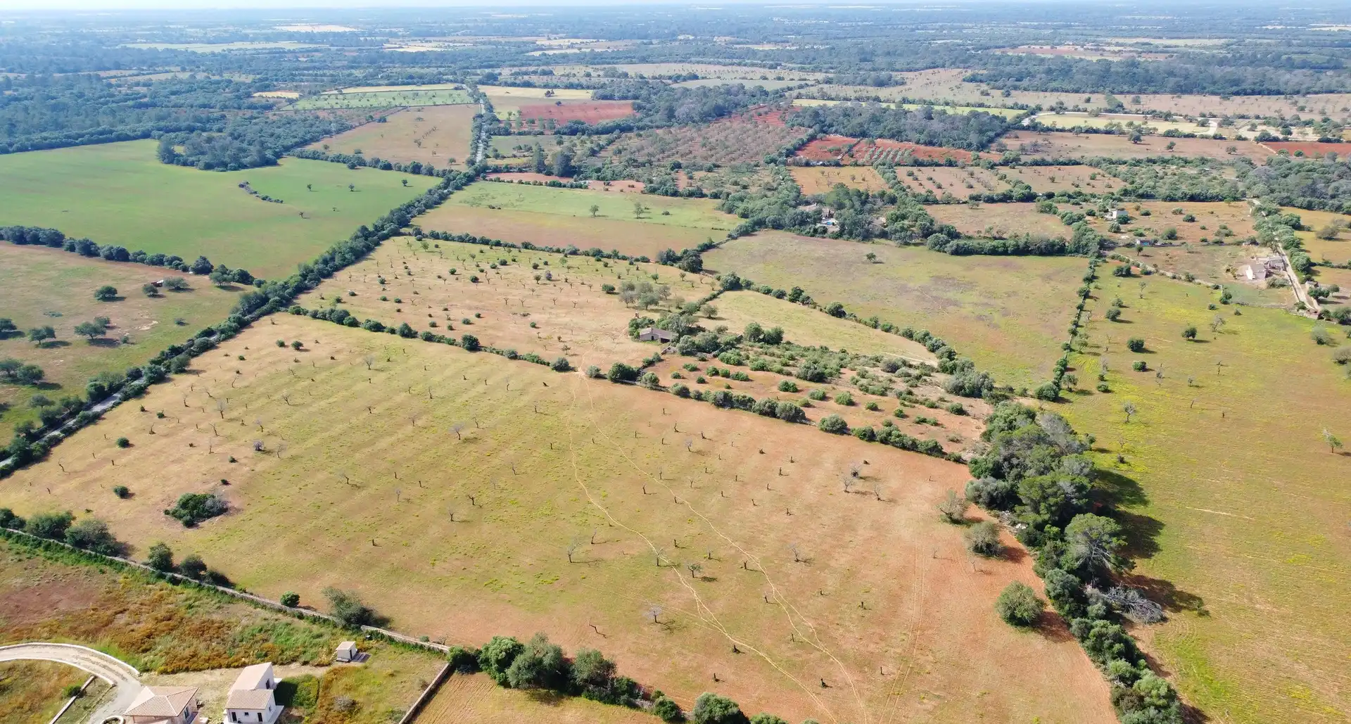 Terreno rustico in vendita a Llucmajor pueblo