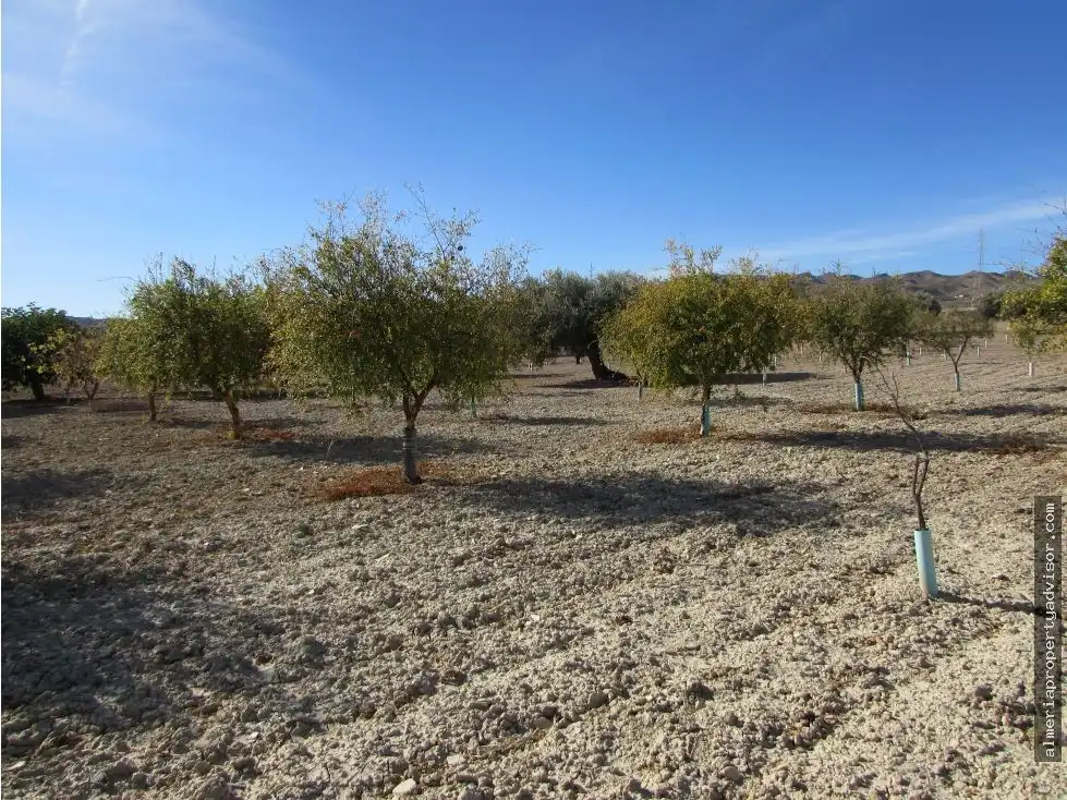 Country homes for sale in Antas