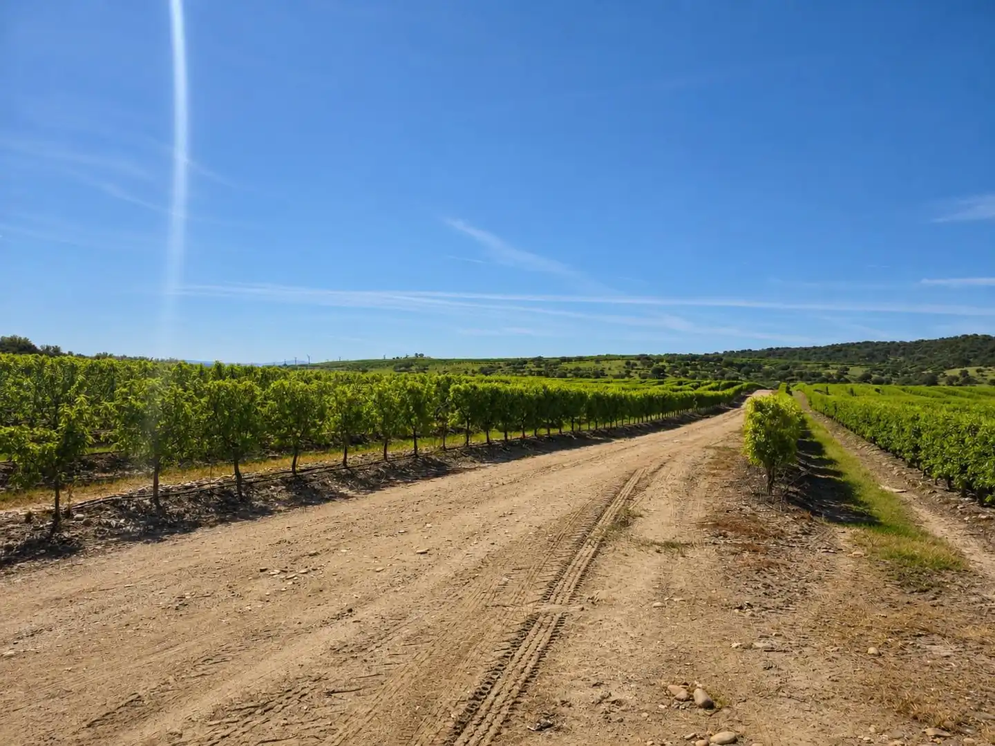Exterior view of Land for sale in Torrejoncillo