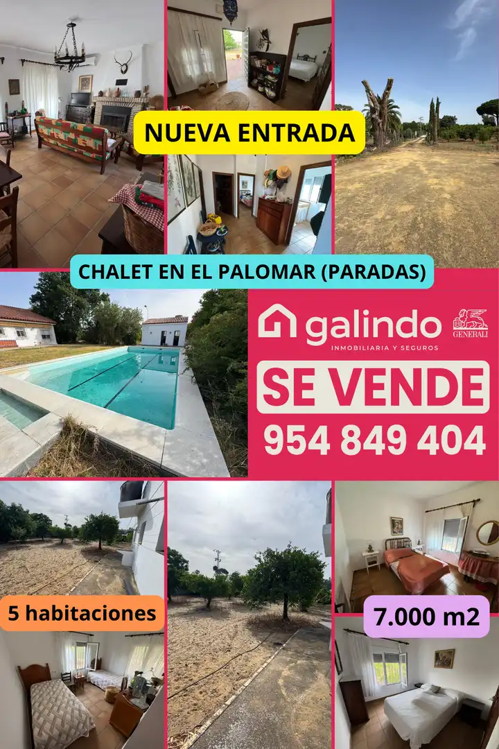 Chalet con piscina en venta en Paradas