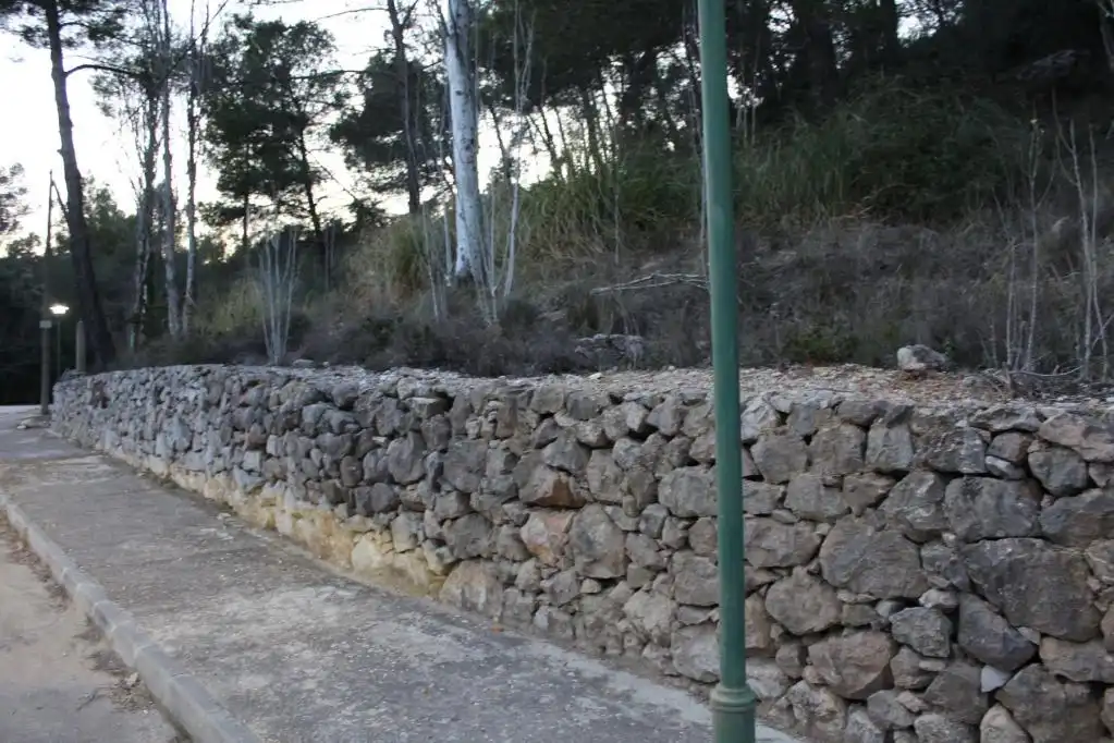 Terreny rústic en venda a ALDEA DE VALLFLOR, imagen 11
