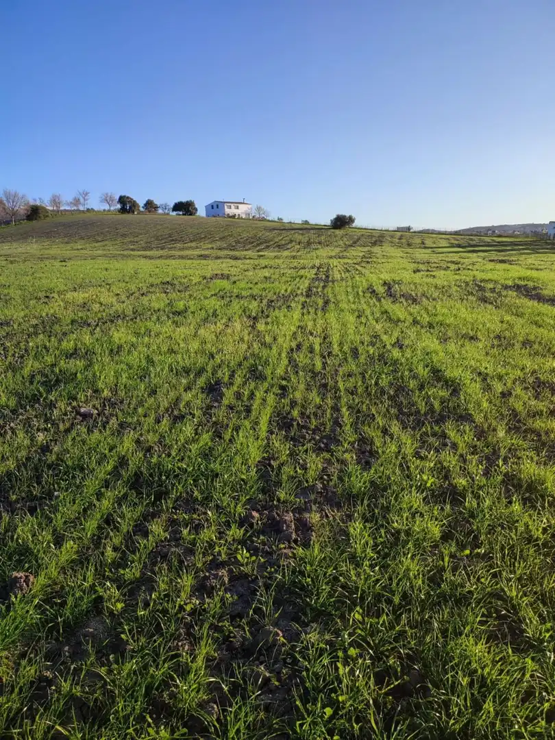 Terreno residencial en venta en Arcos de la Frontera, imagen 4
