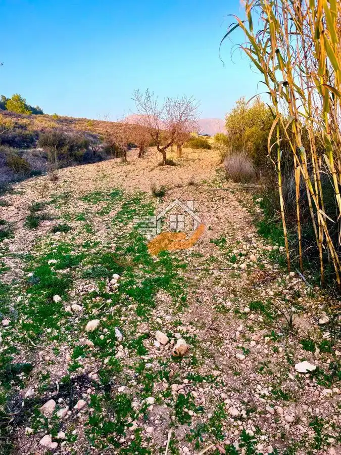 Lands and plots for sale in Vélez-Rubio, imagen 23