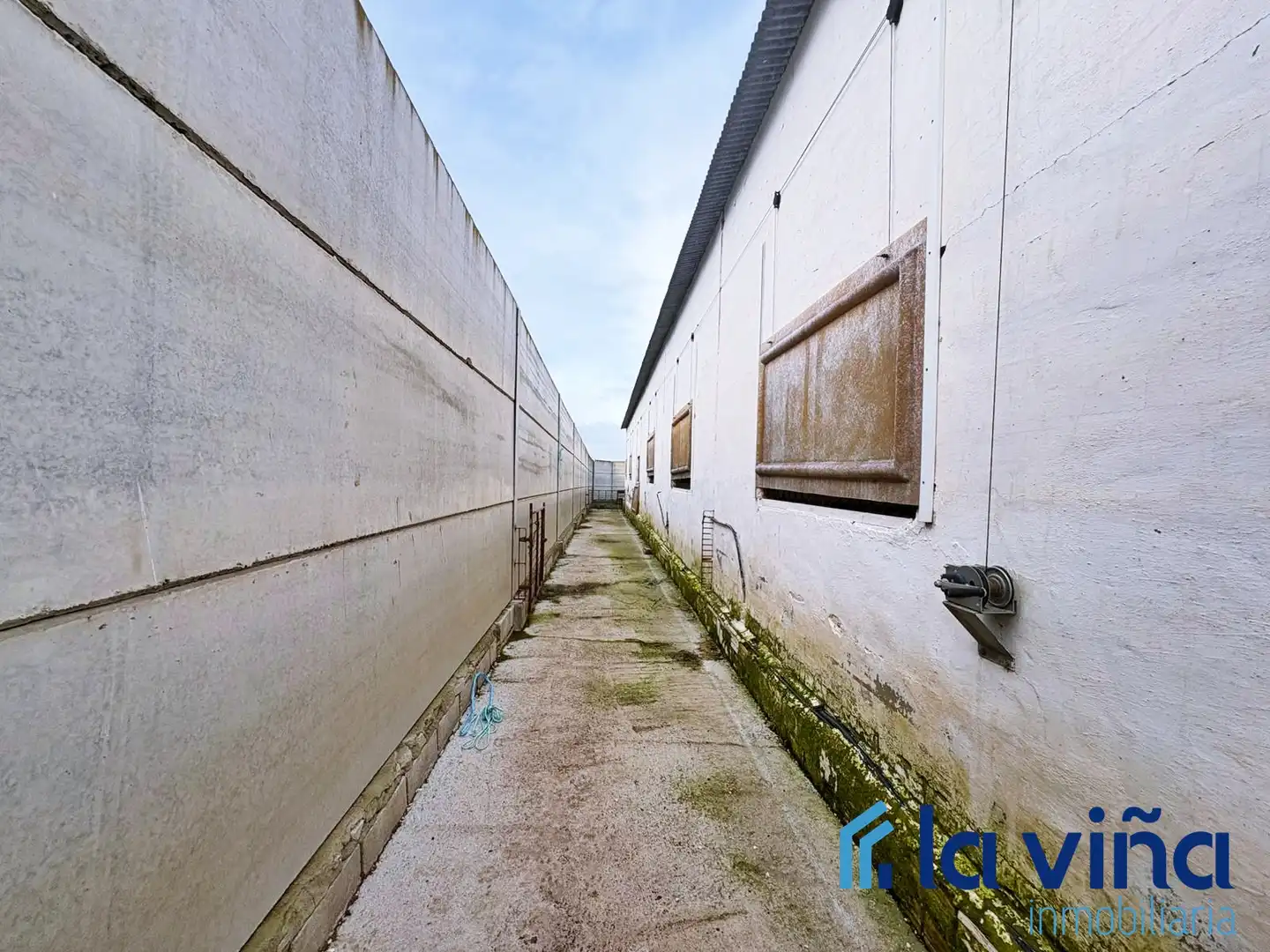 Vista exterior de Casa o chalet en venta en Los Corrales con Aire acondicionado y Amueblado
