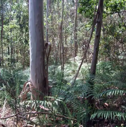 Rural land for sale in Parroquias Rurales, imagen 2