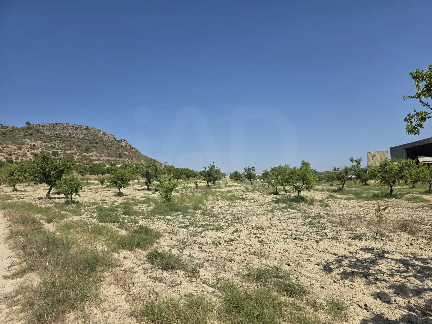Terrenys i solars en venda a Cehegín, imagen 3