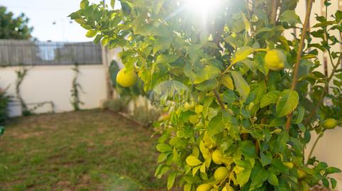 Foto 5 de Casa o xalet en venda a Cl Vinya, Altafulla, Tarragona