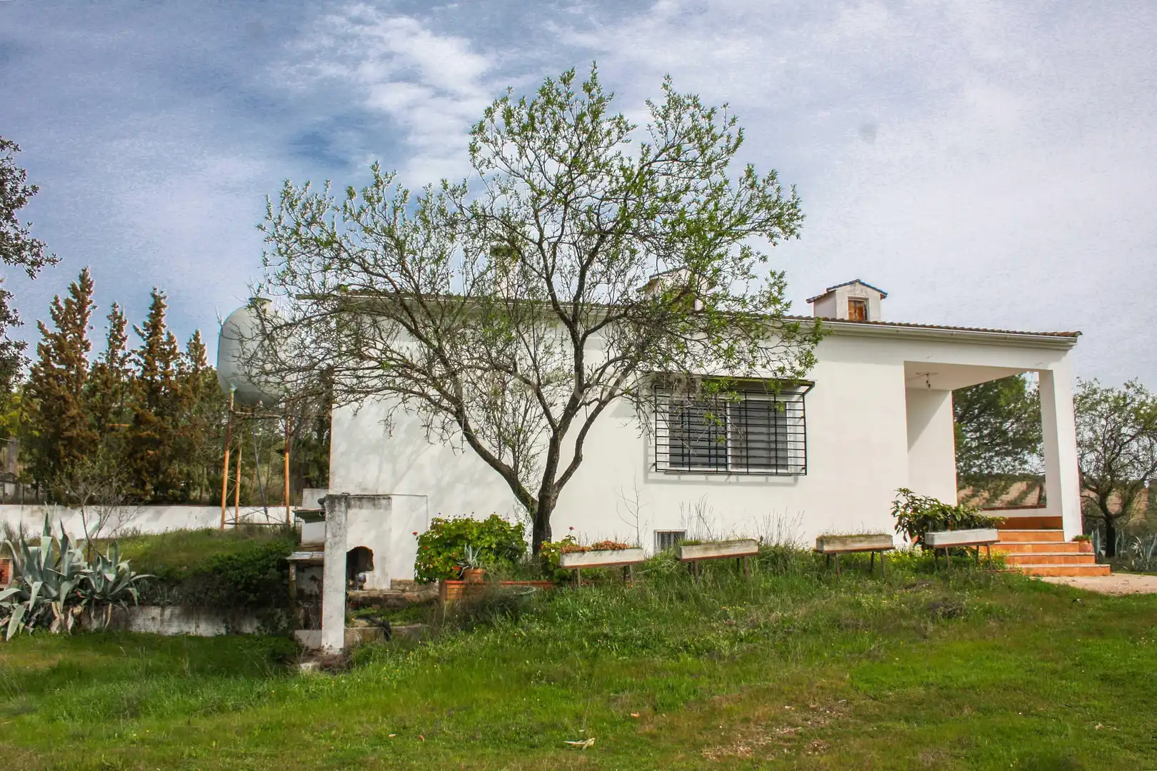 Exterior view of Land for sale in Azuaga