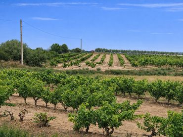 Terreno rustico in vendita a Villamediana de Iregua