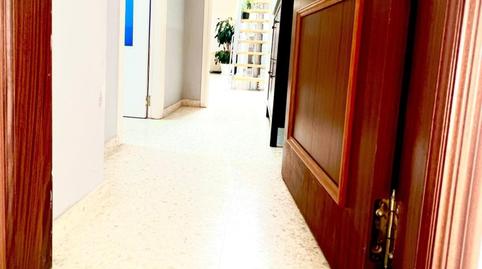Photo 5 of Duplex to rent in El Cano - Los Bermejales,  Sevilla Capital