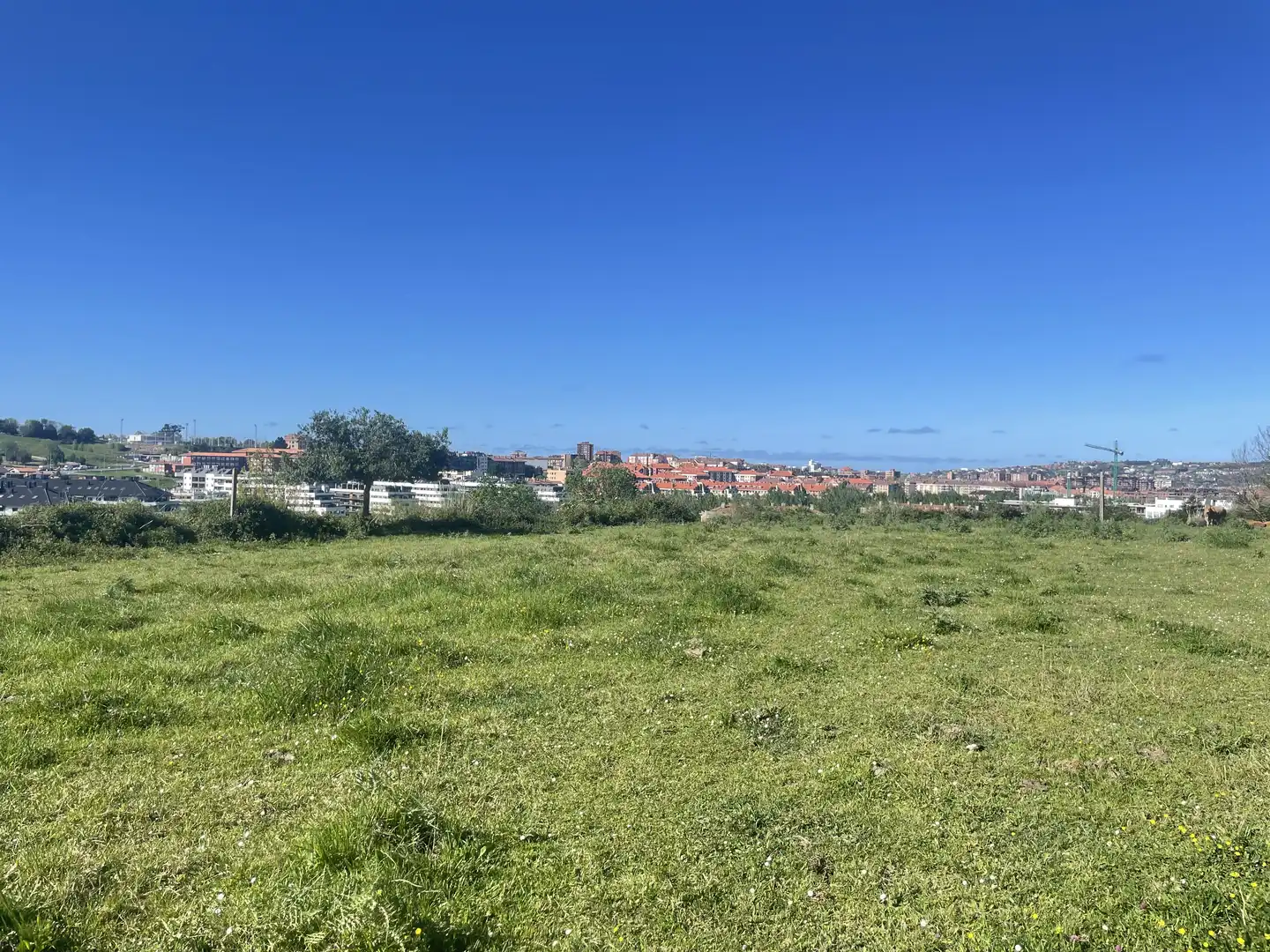 Terreno residenziale in vendita a Rural, imagen 9