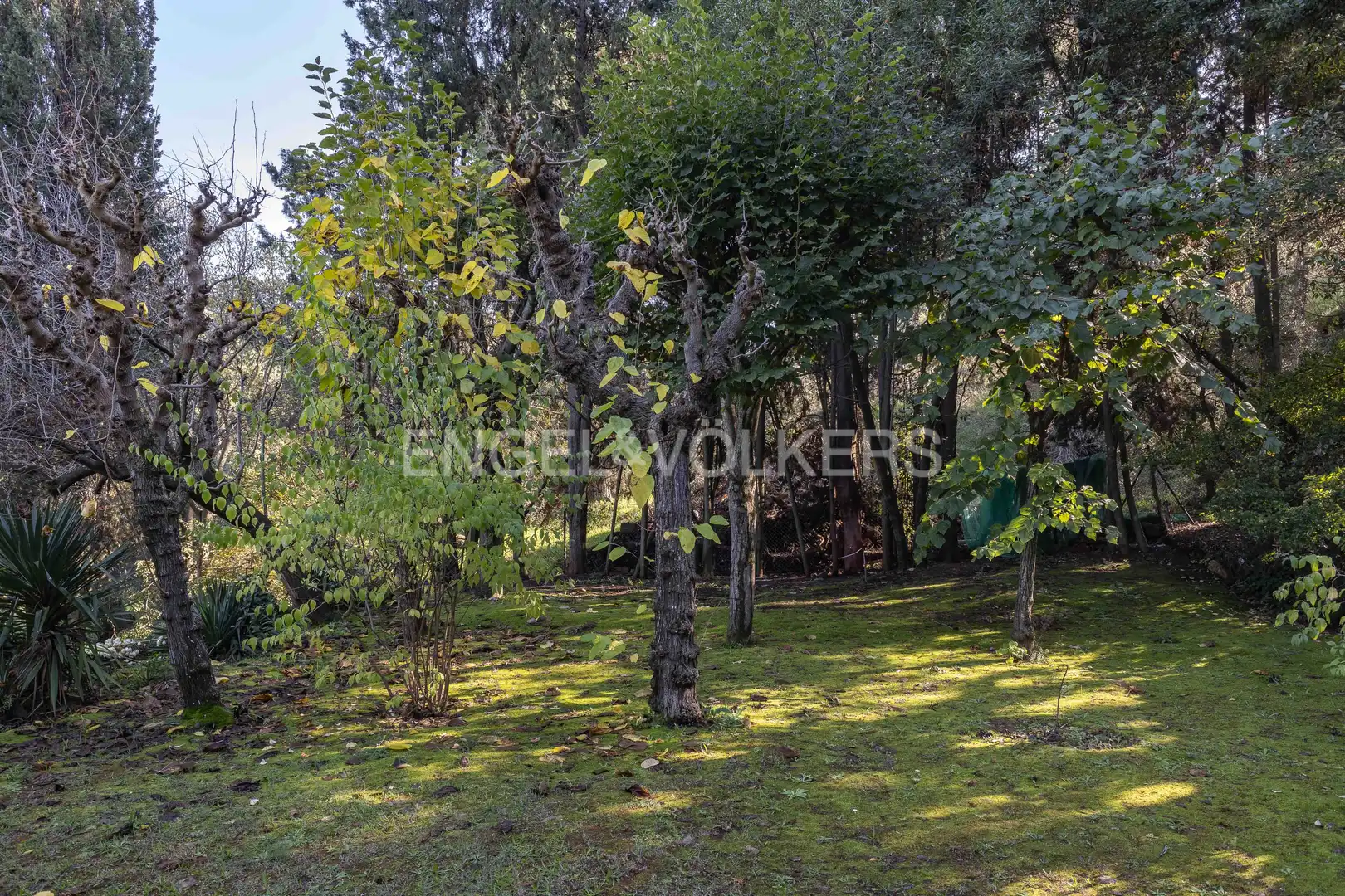Maison avec piscine à vendre à Castellví de Rosanes, imagen 43