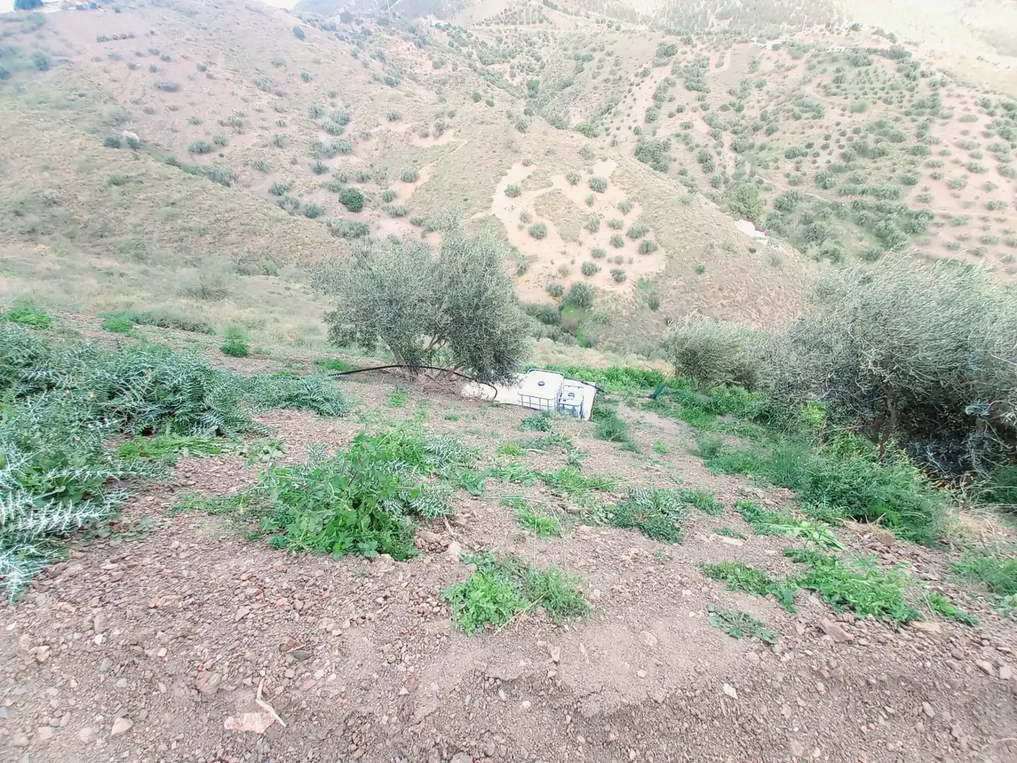 Terrenys i solars en venda a Canillas de Aceituno, imagen 18