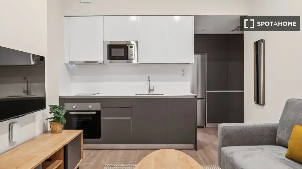 Kitchen of Flat for rent in Madrid  with Air Conditioner, Heating and Furnished