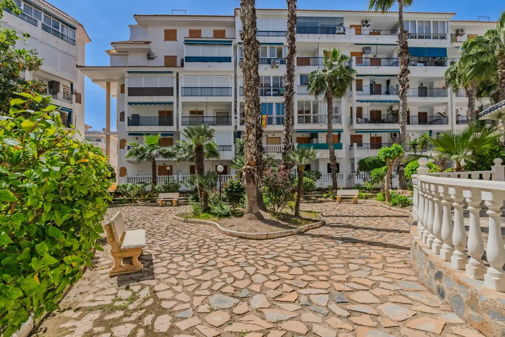 Vista exterior de Apartamento en venta en Torrevieja con Jardín privado, Terraza y Amueblado