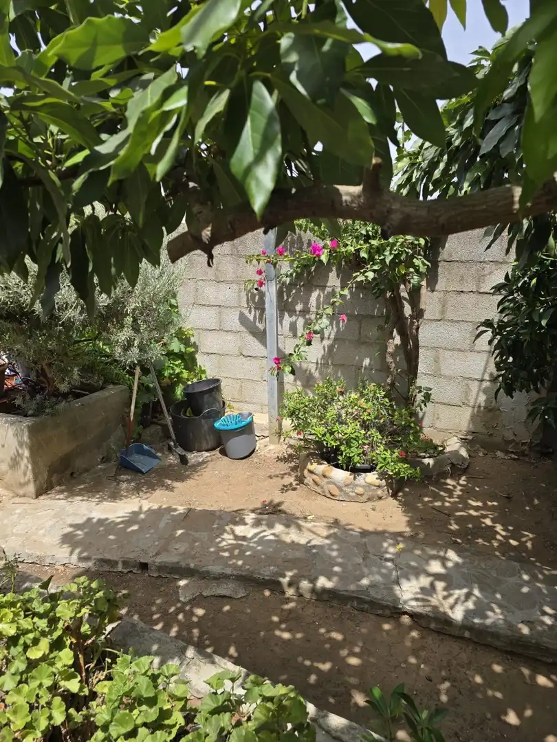 Jardín de Casa adosada en venta en Algeciras
