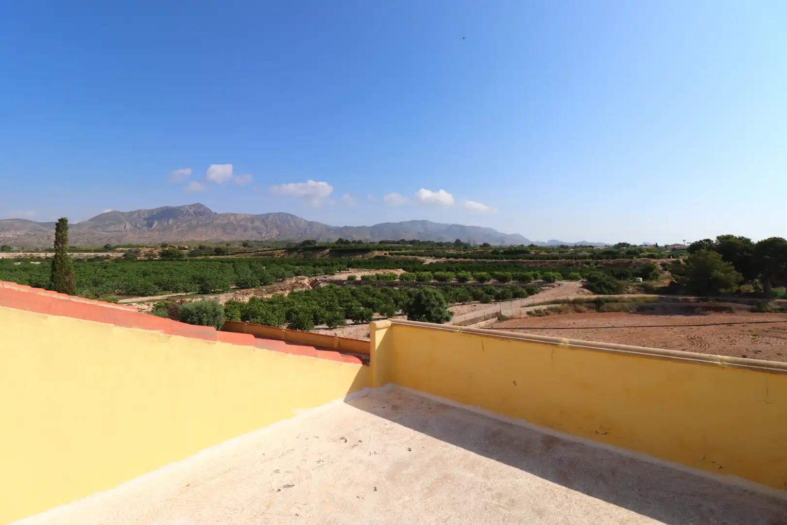 Terrassa de Finca rústica en venda en Albatera amb Terrassa i Piscina