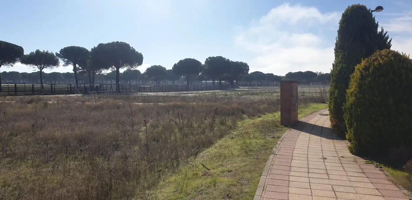 Terreni e lotti in vendita a Aldeamayor de San Martín, imagen 11