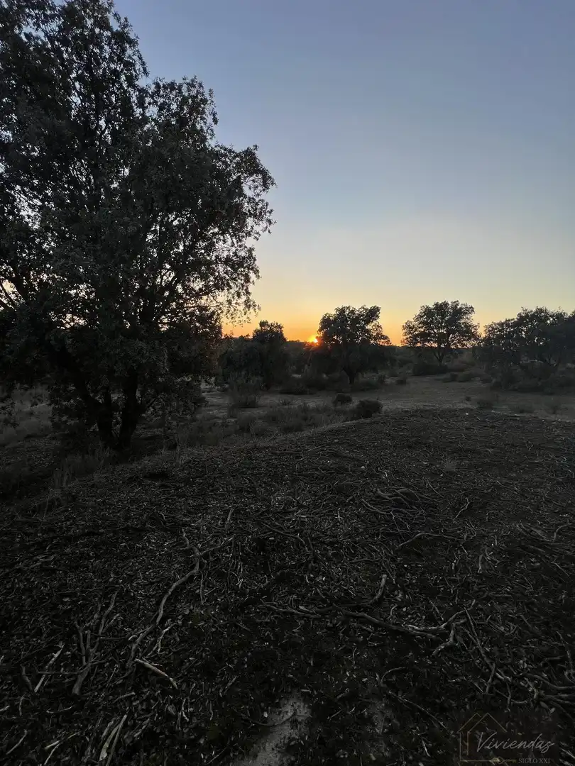 Finca rústica en venda en Brunete