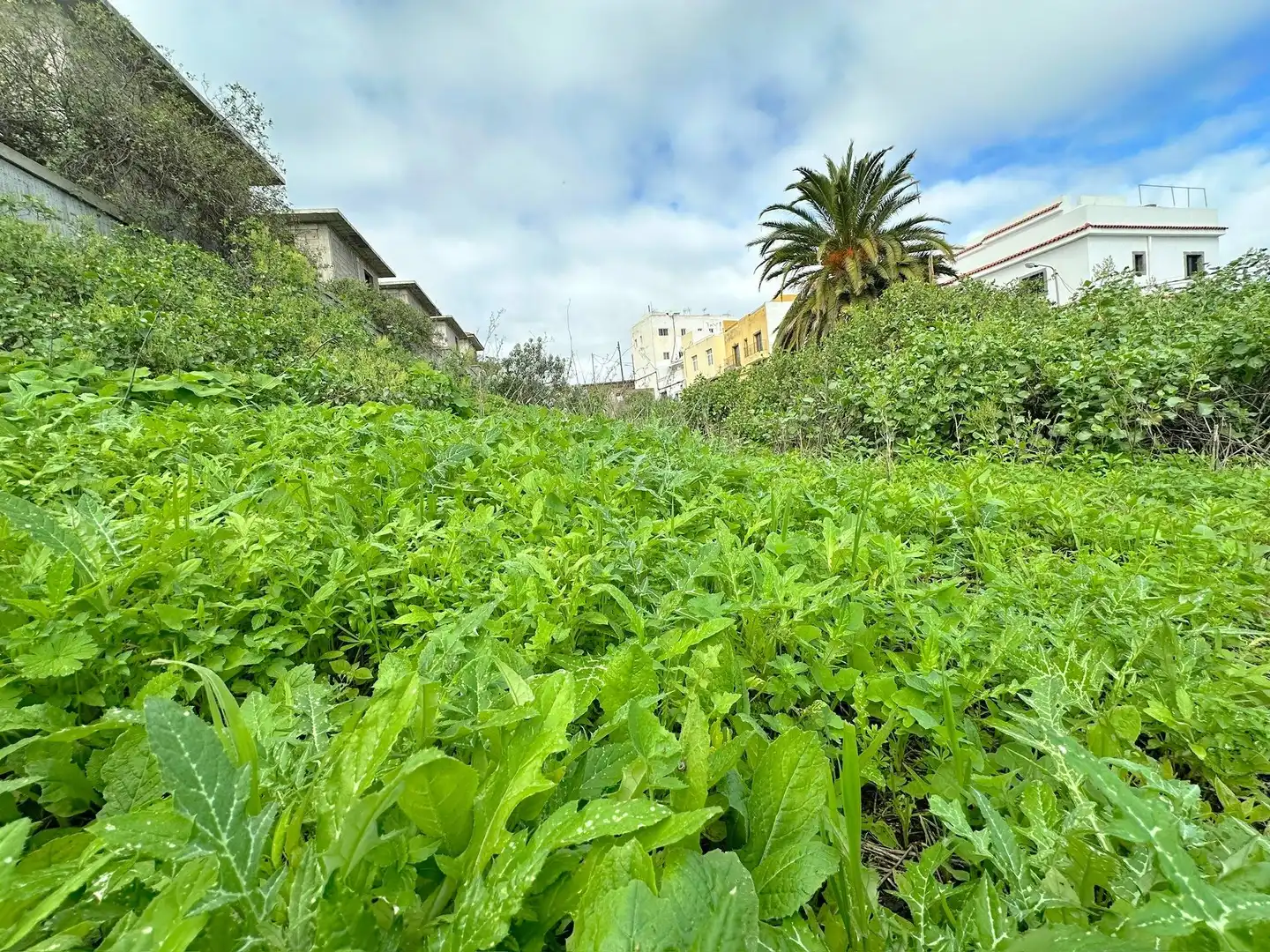 Wohnbaugrundstück zum Verkauf in U.A.CASABLANCA, imagen 9
