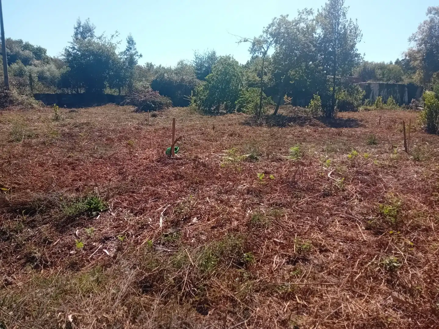 Terrain rustique à vendre à Carretera Portal-Valadares 151, imagen 6