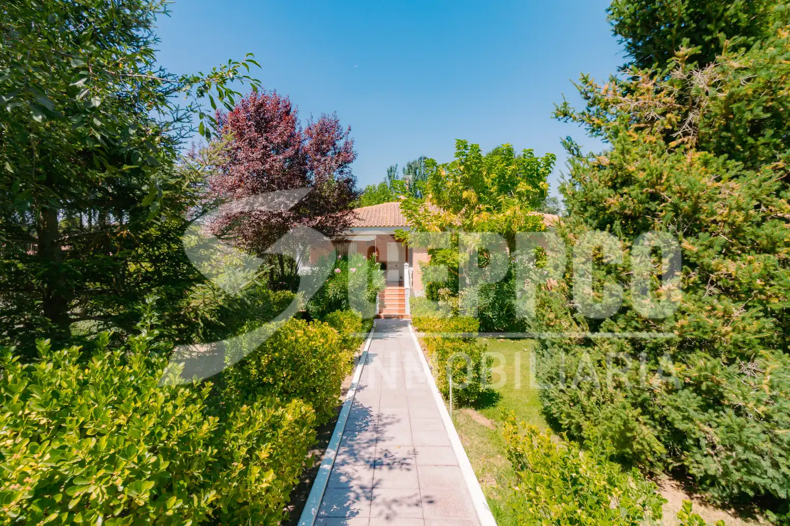 Garden of Houses for sale in Illana  with Heating, Private garden and Terrace