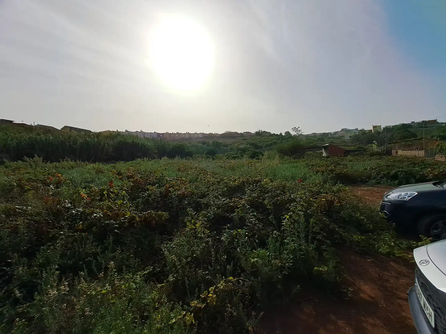 Residential land for sale in Tacoronte - Los Naranjeros, imagen 11