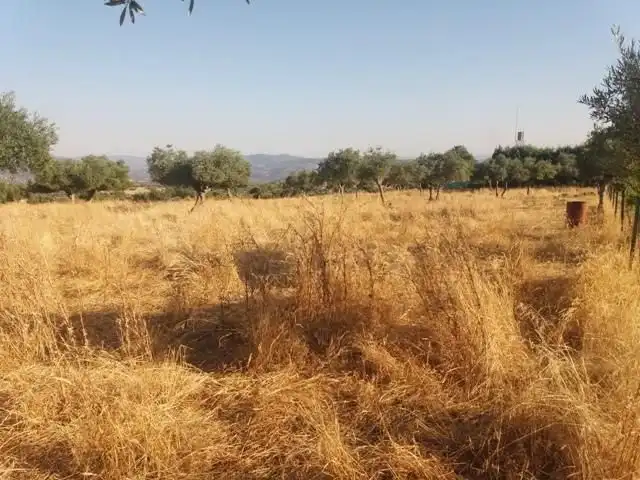 Residential land for sale in Fuente Obejuna, imagen 27