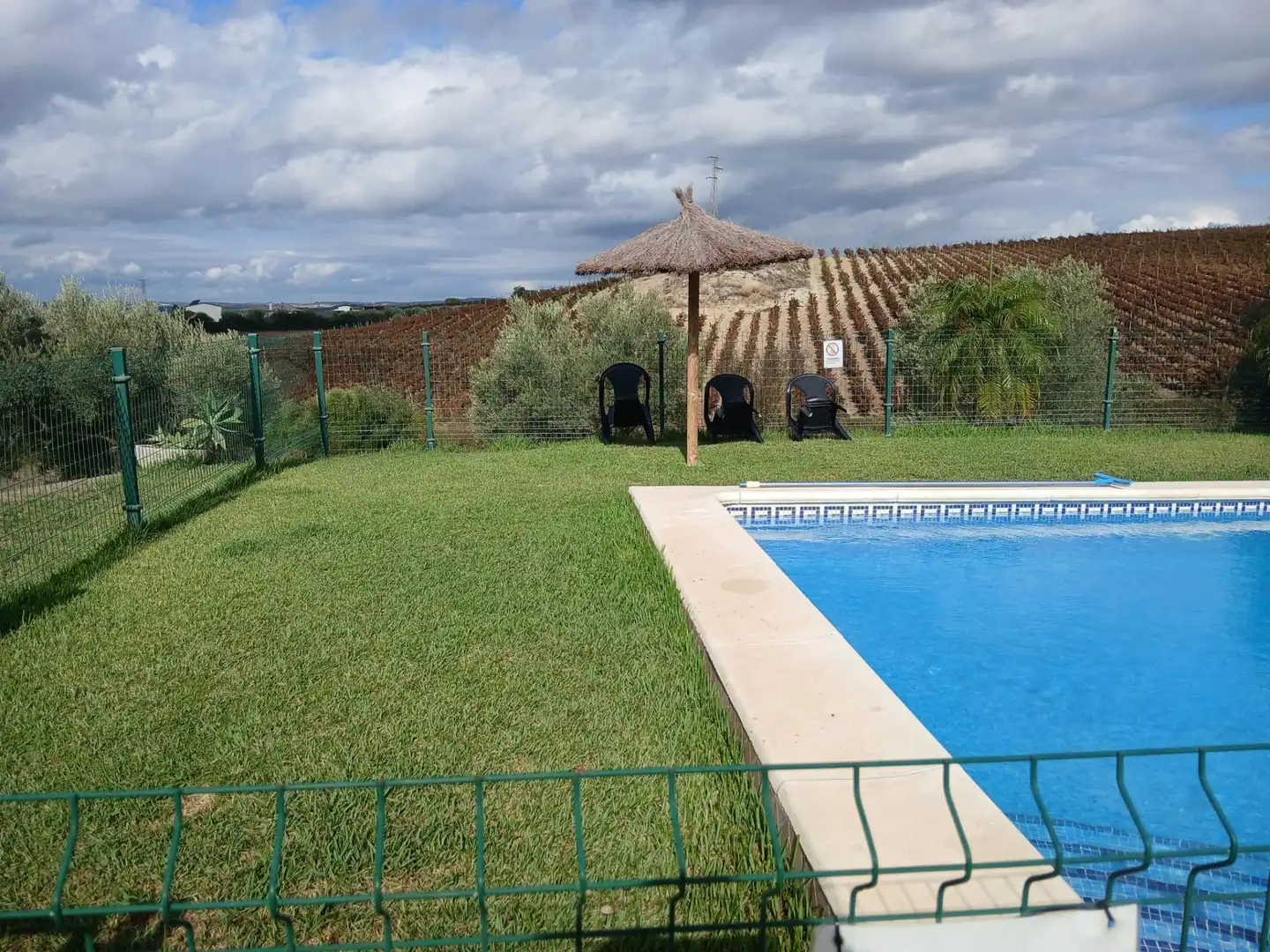 Piscina de Finca rústica en venda en Arcos de la Frontera amb Jardí privat i Piscina comunitària