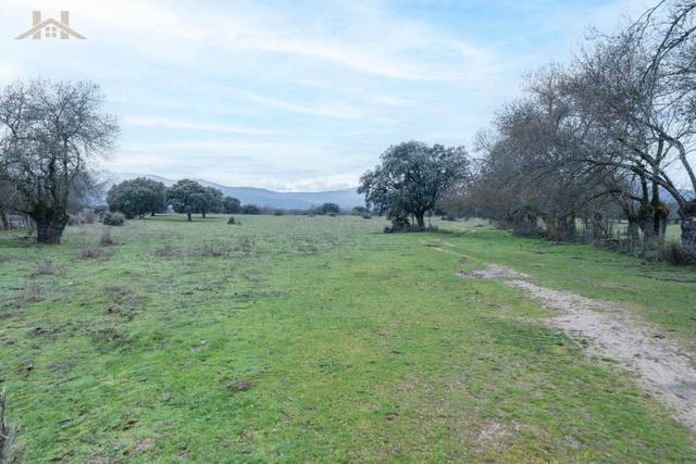 Terreno en Venta en N/A en La Pizarra