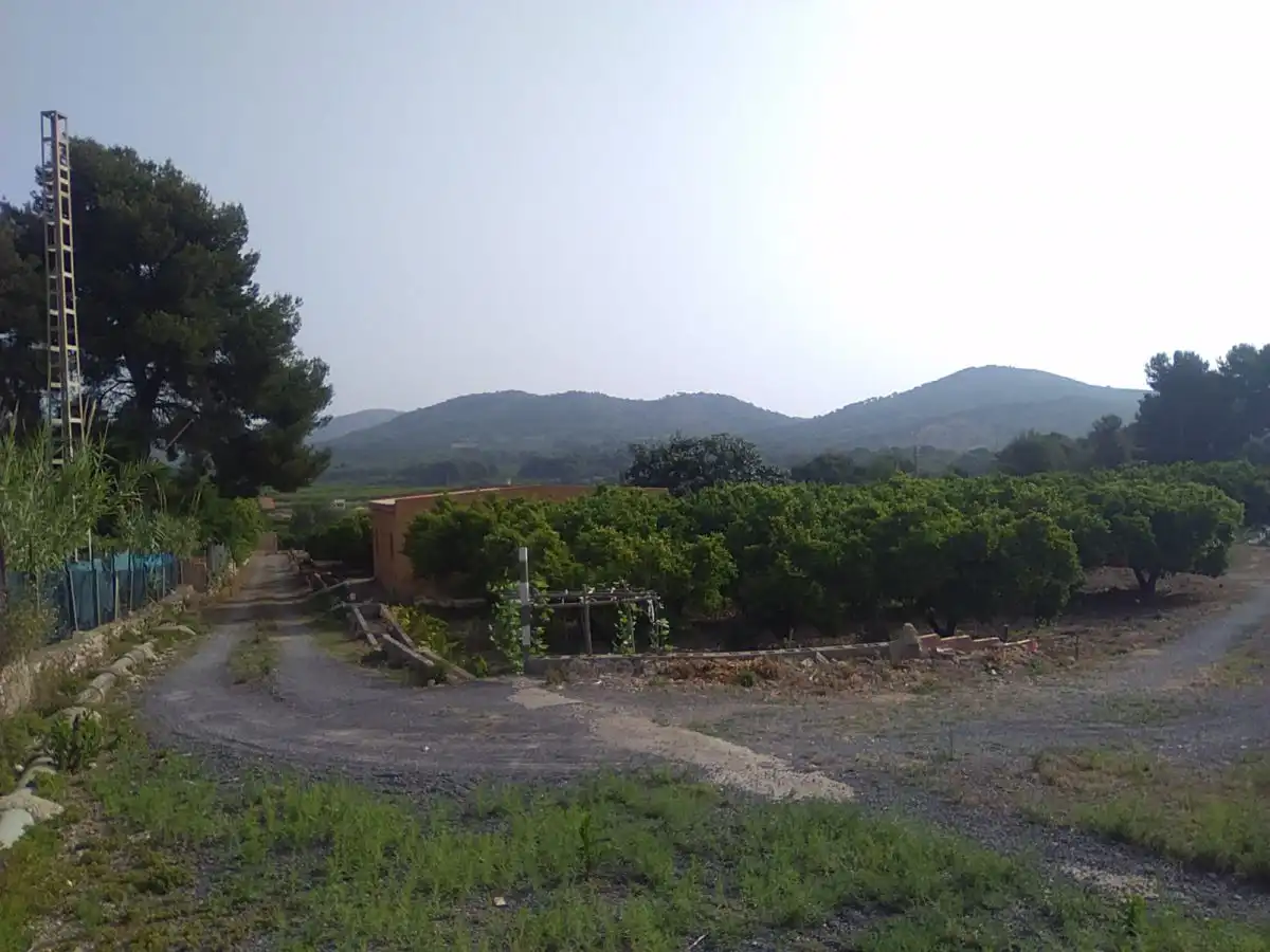 Finca rústica en venta en Sagunto / Sagunt