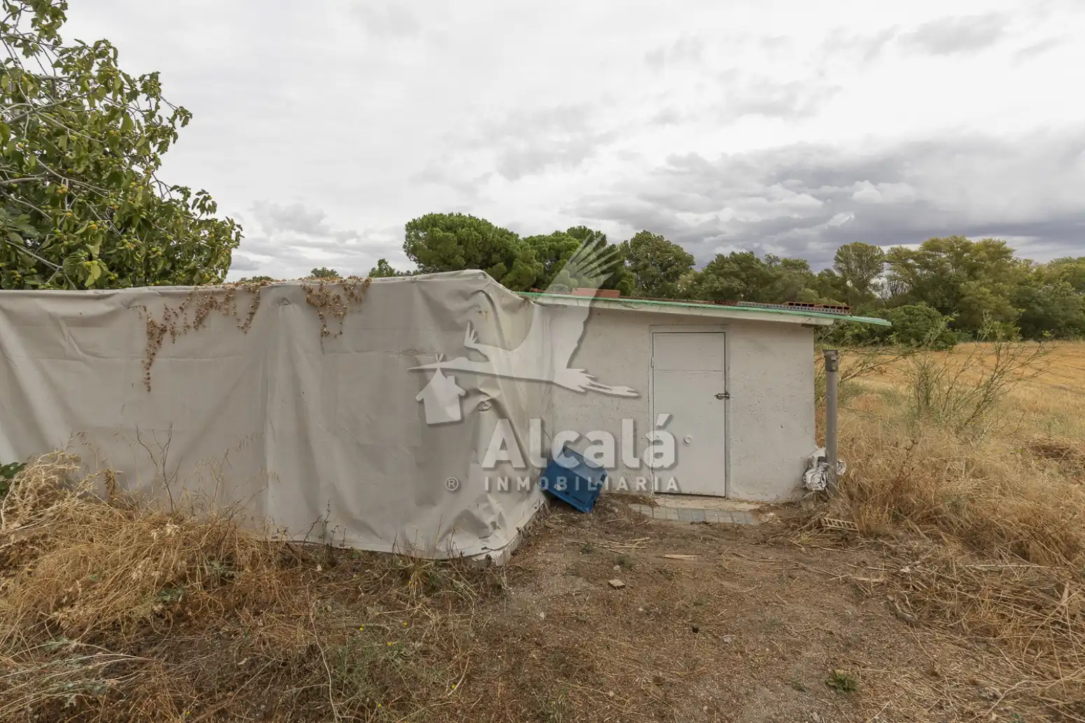 Haus oder Chalet zum Verkauf in El Molar (Madrid) mit Schwimmbad