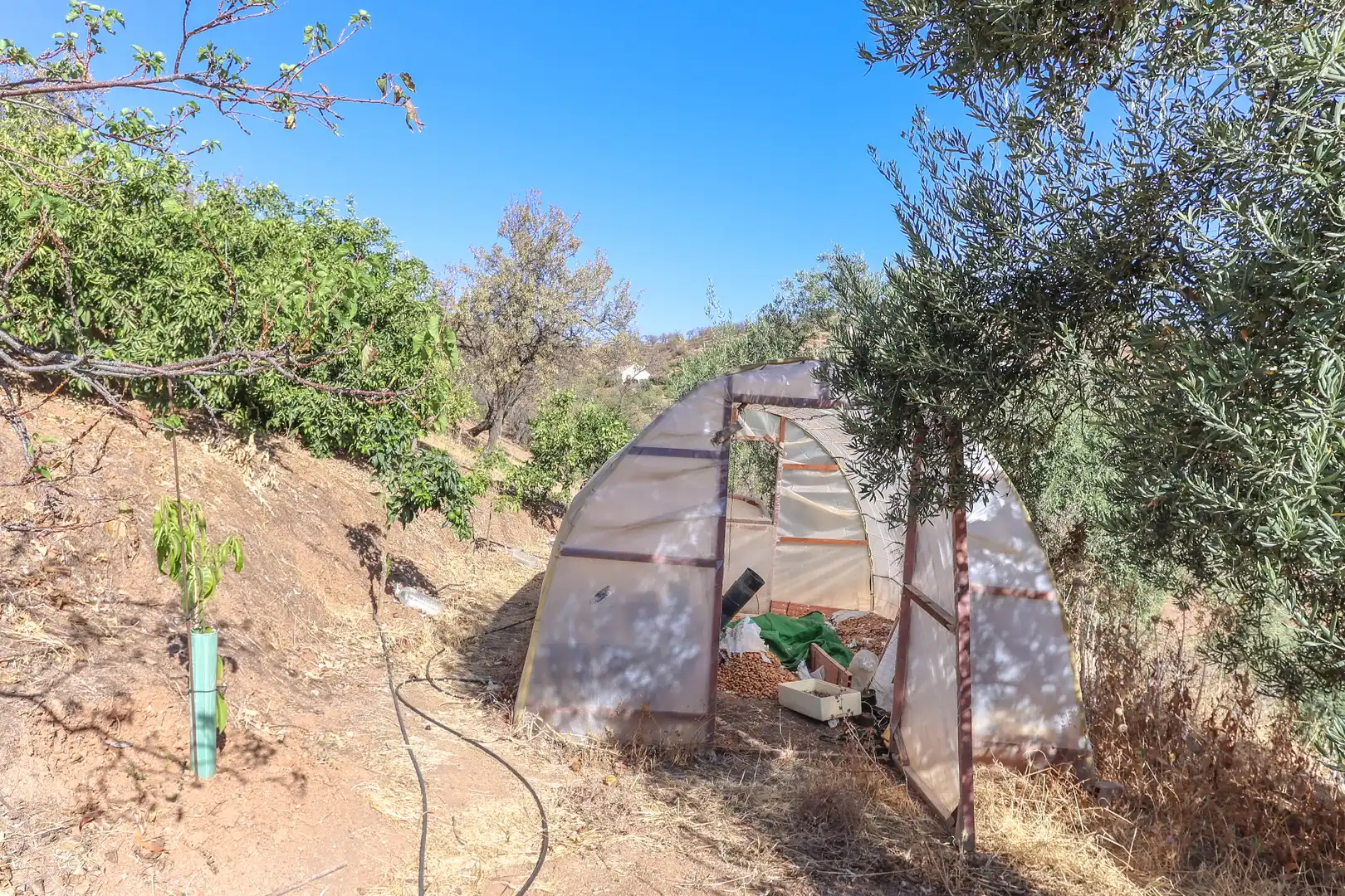 Casa con piscina en venta en Avenida de Andalucía, imagen 14