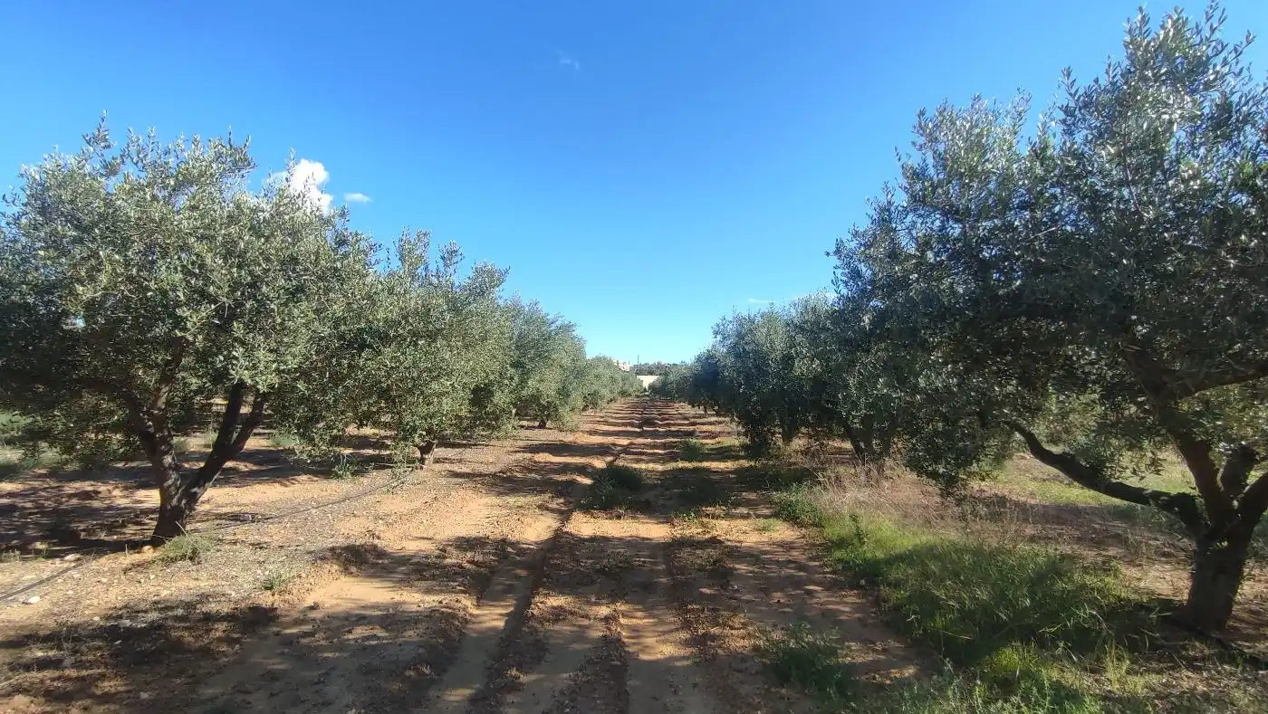 Finca rústica en venda en Constantí amb Jardí privat, Terrassa i Moblat