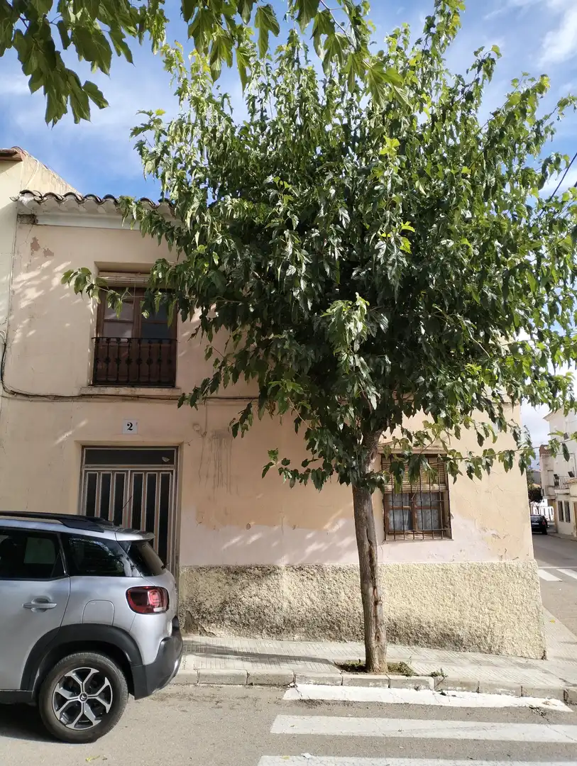 House with terrace for sale in Calle Don José Martínez Calero 2, imagen 2