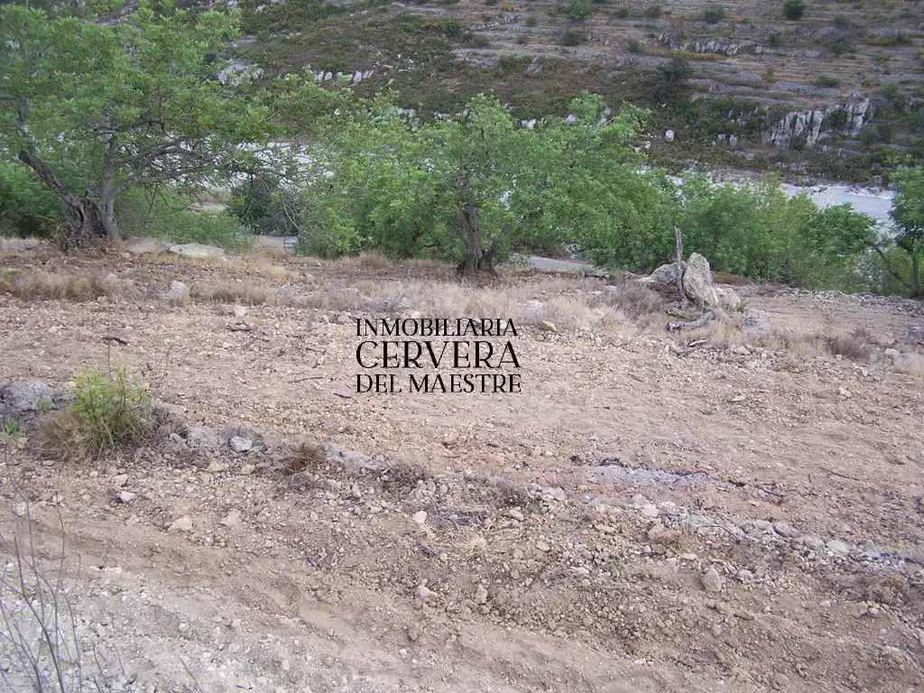 Terreno rustico in vendita a Cervera del Maestre