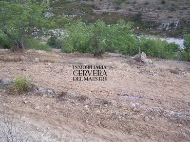 Rural land for sale in Cervera del Maestre
