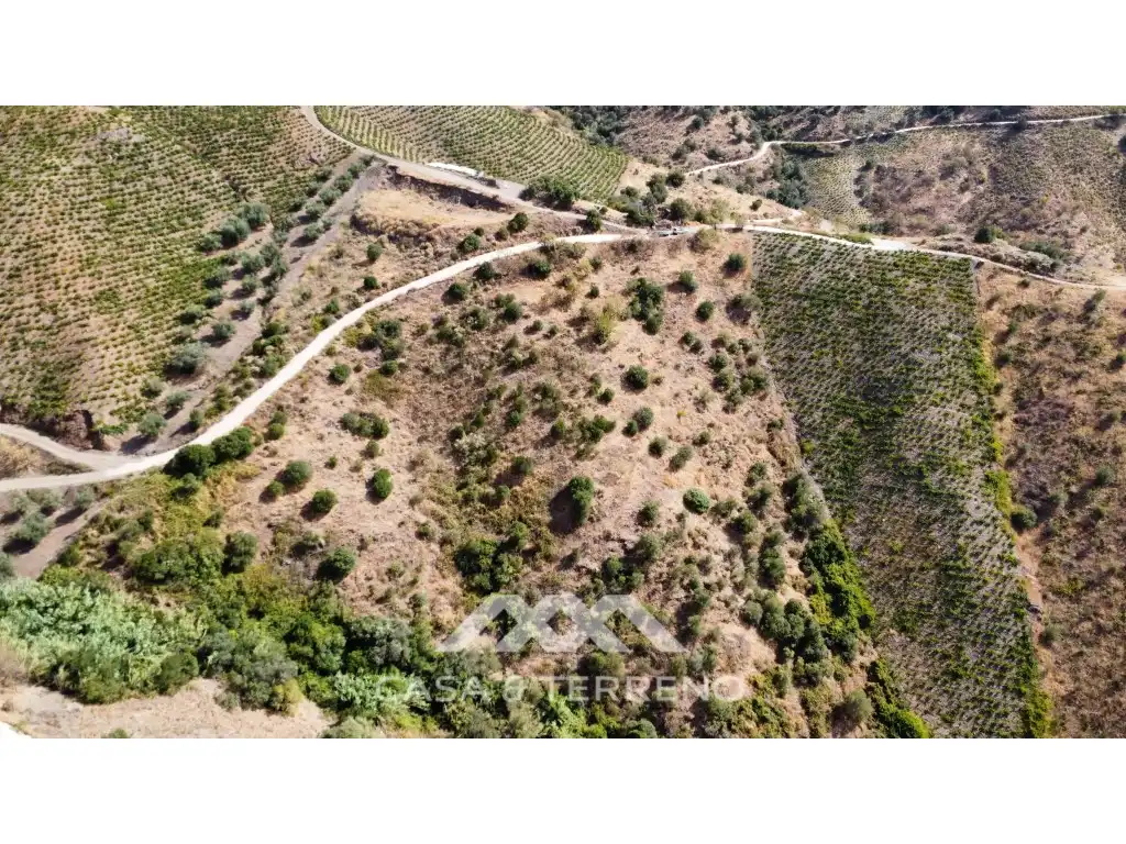 Rural land for sale in Partida Tortela, imagen 6
