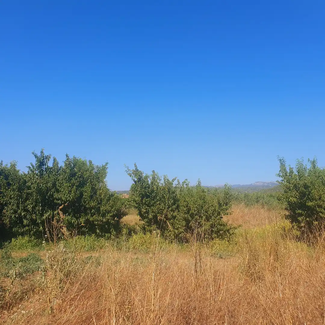 House for sale in Benissanet, imagen 21