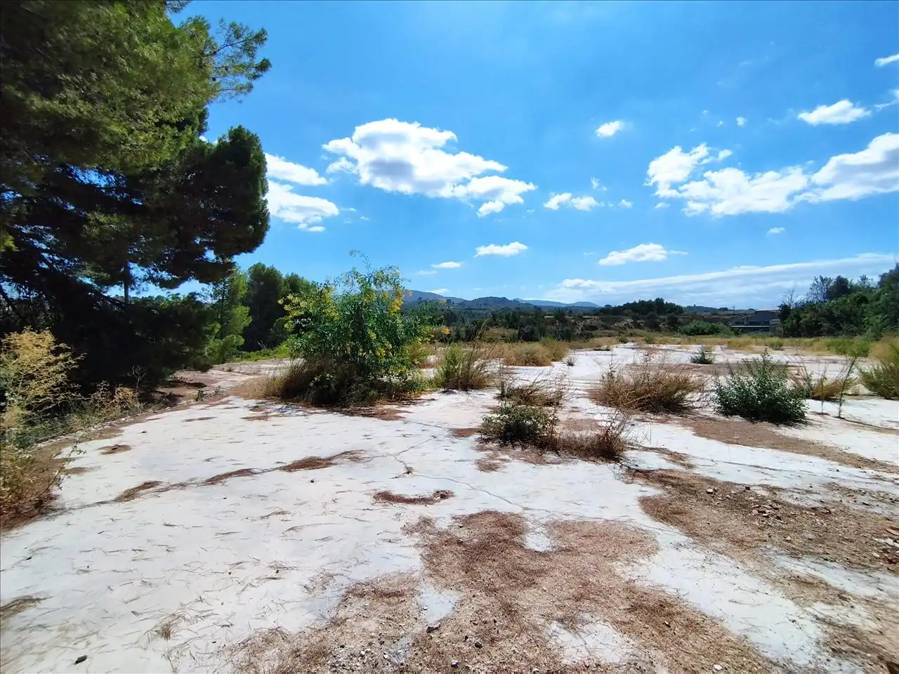 Terreny residencial en venda a Alcudia-Industr, 206, imagen 6