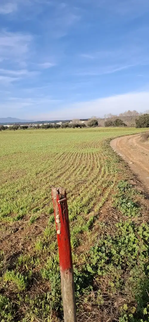 Terreno en venta en Vilafant