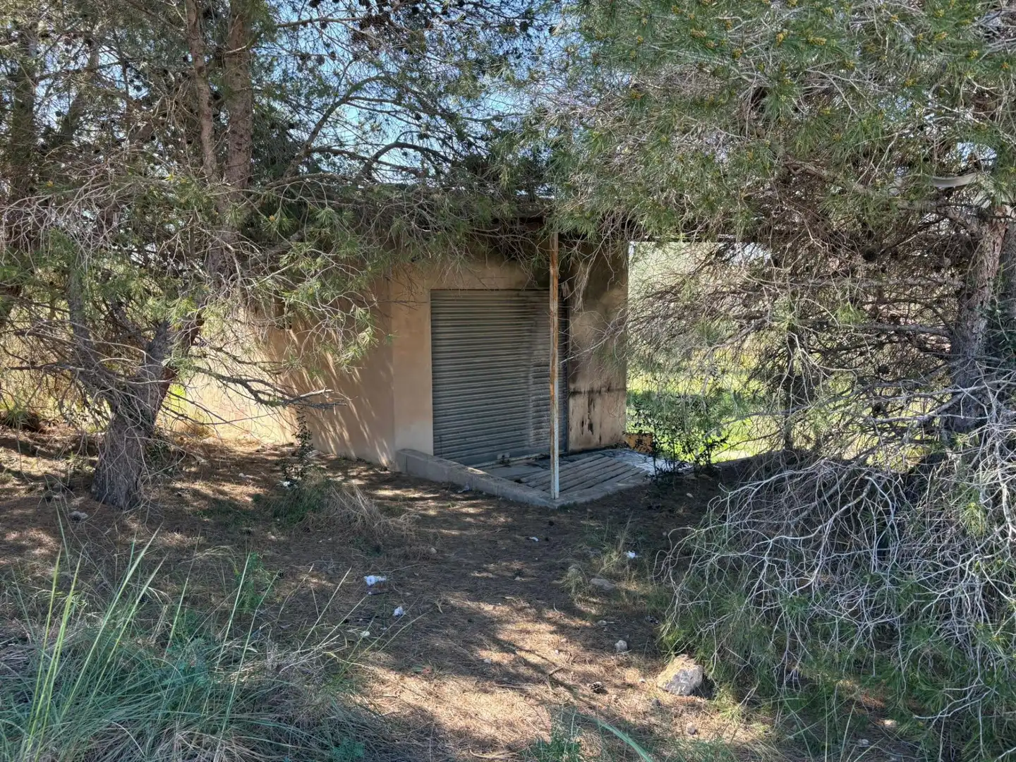 Außenansicht von Haus oder Chalet zum Verkauf in Elche / Elx