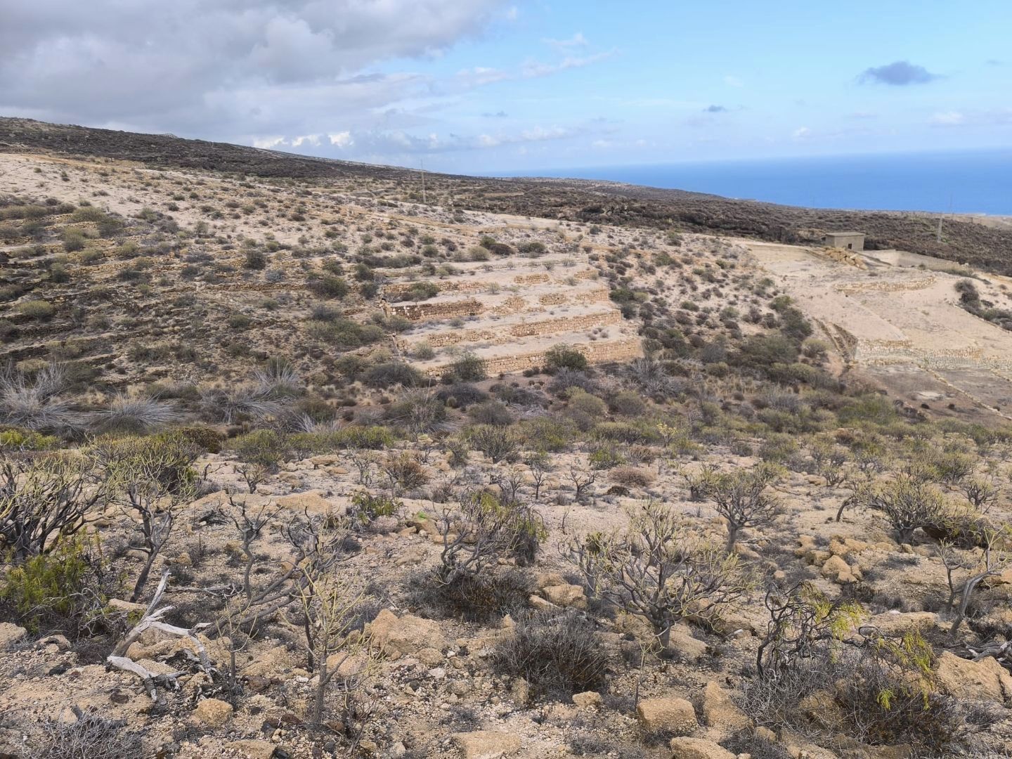 Land for sale in Fasnia