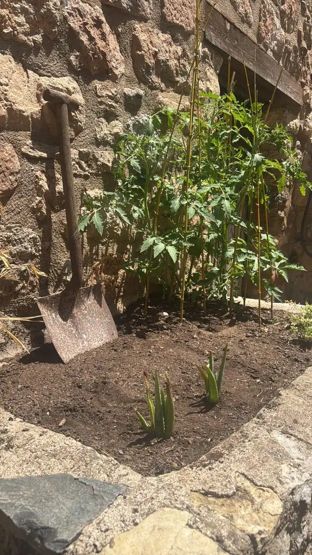 Casa amb terrassa en venda a Mont-ral, imagen 7