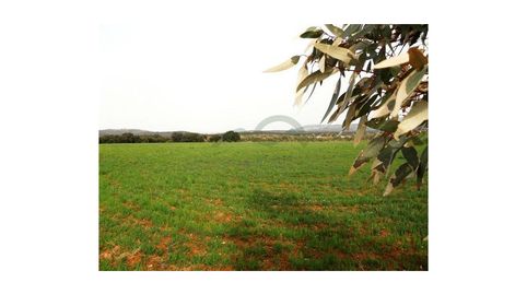 Terreno para Casa de CampoHotel Rural, imatge 4
