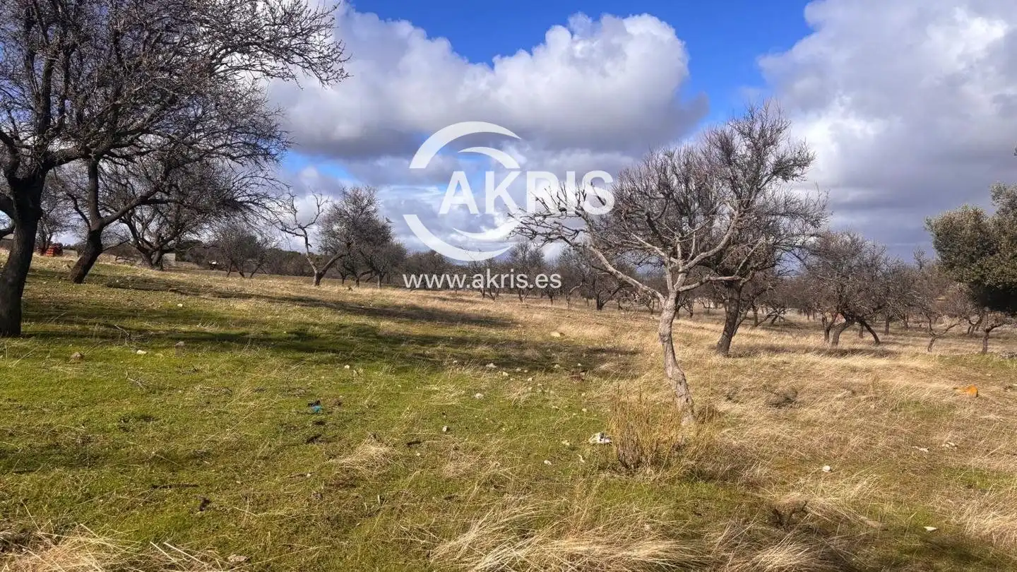 Terreno rustico in vendita a Arrabal Cerro Palos, imagen 8