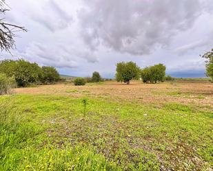 Finca rústica en venda en Sencelles amb Calefacció, Terrassa i Traster