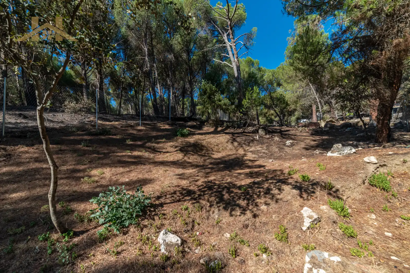 Terreny residencial en venda a San Martín de Valdeiglesias, imagen 13